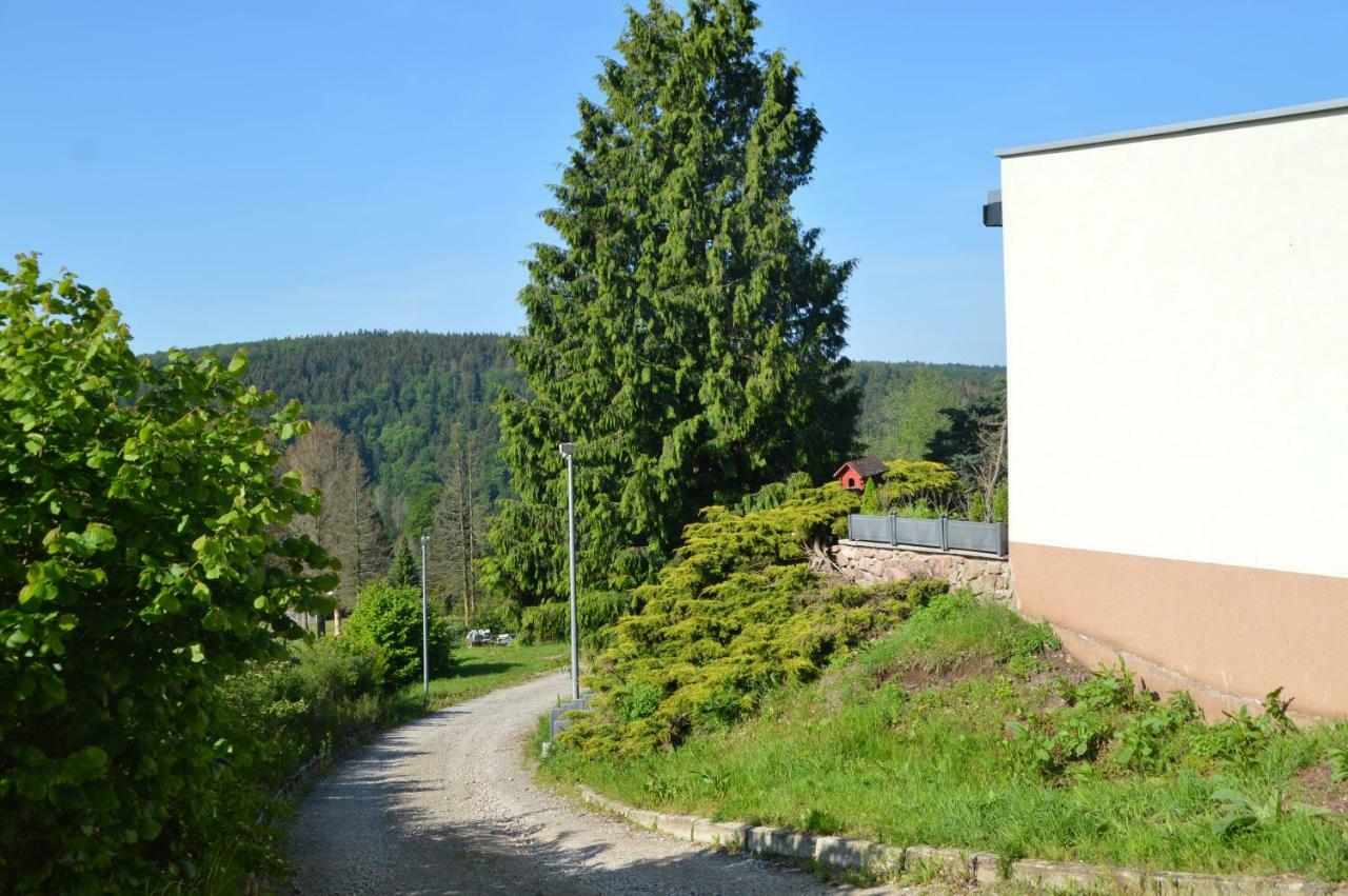 Bergpanorama Ruhla Apartment Екстериор снимка
